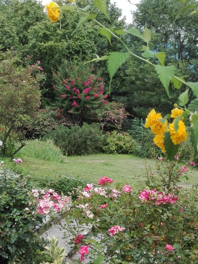 La Porta Accanto B&B San Vito di Leguzzano Bagian luar foto